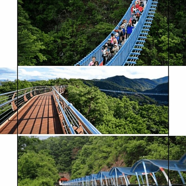 산천초목
