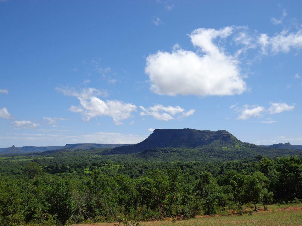 Nascentes do Rio Taquari State Park景点图片