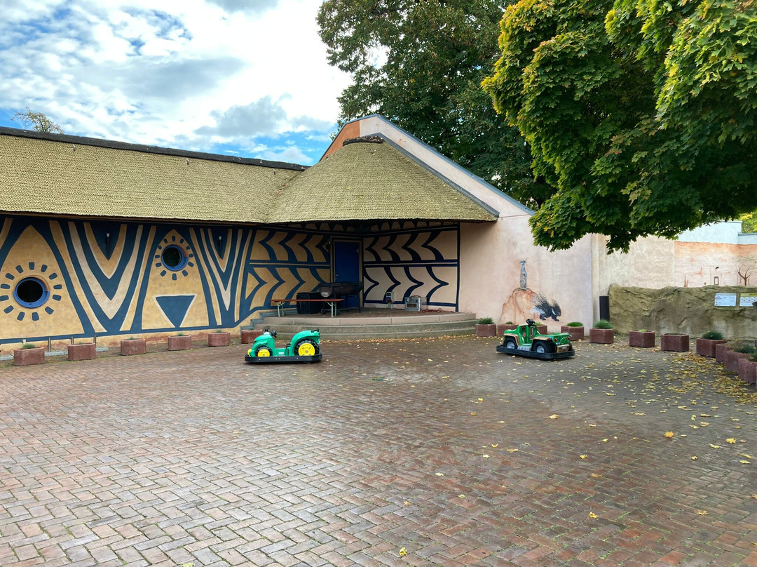 Spielplatz Zoo