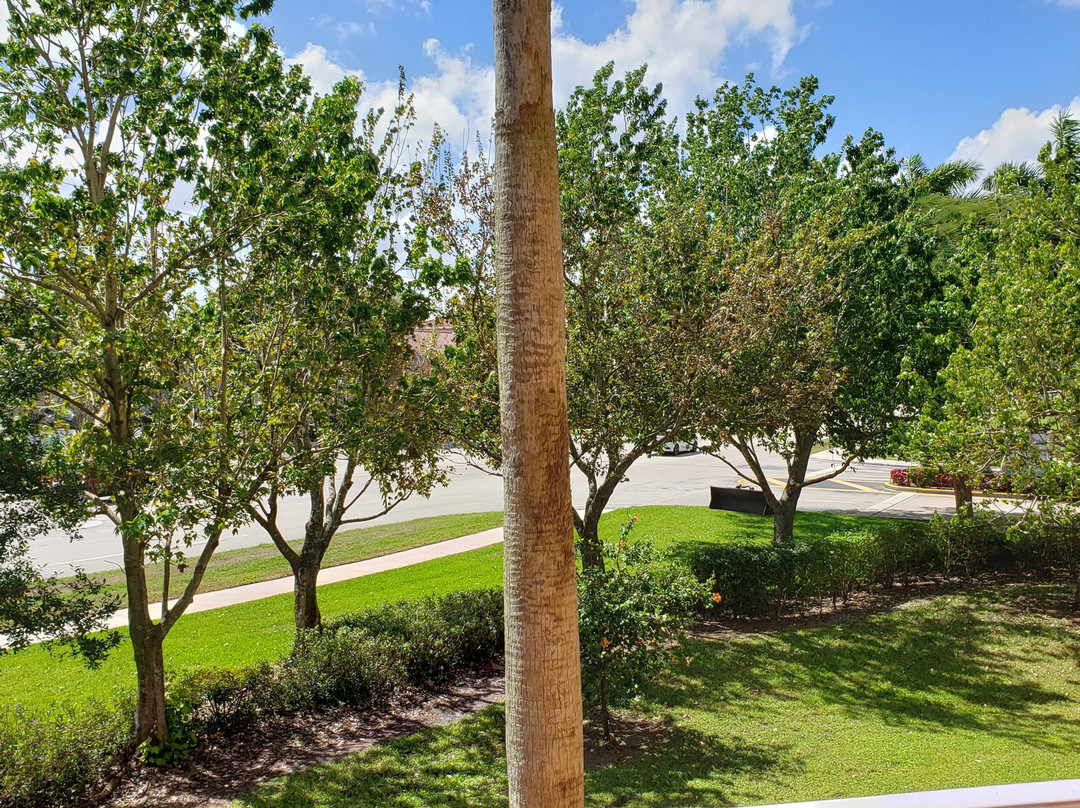 Vacation Village at Weston主图