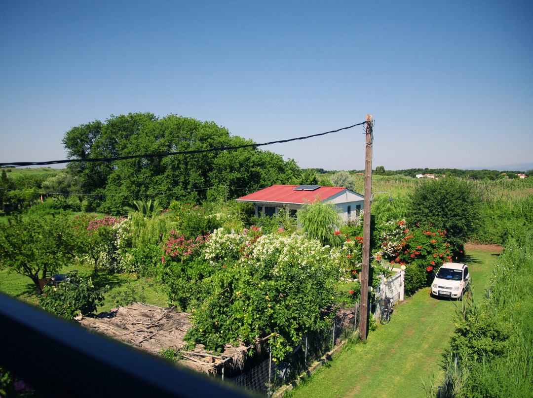 Philoxenia Hotel主图