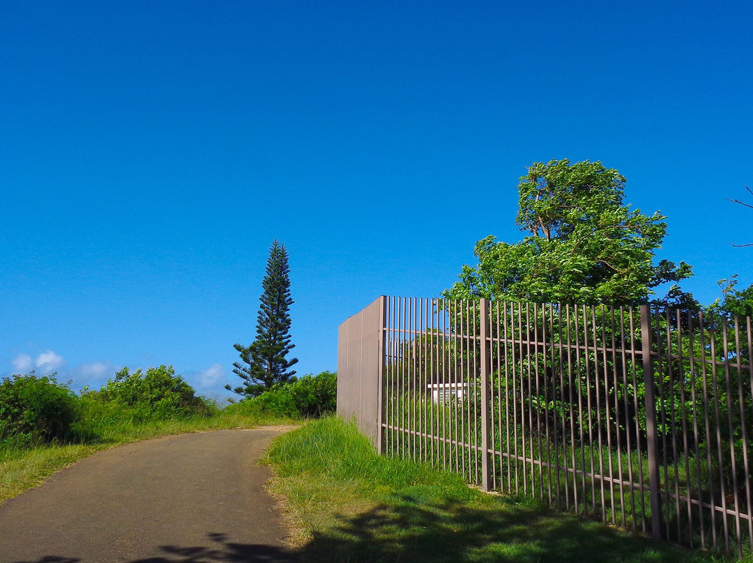 Mont Coffyn-努美阿必去景点