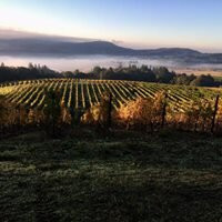 Bethel Heights Vineyard-塞勒姆必去景点