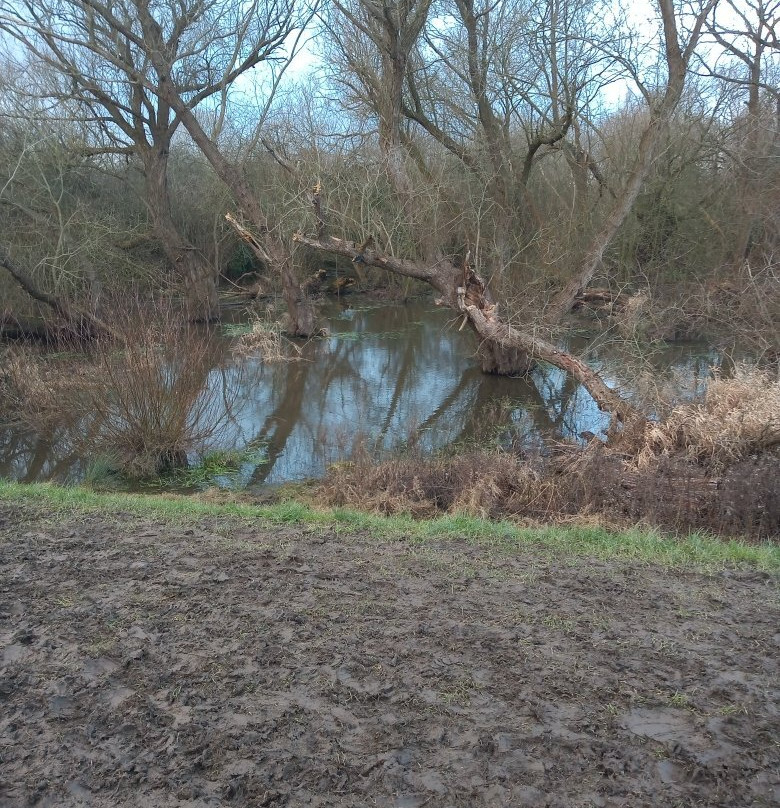 Fox Covert Local Nature Reserve-Long Eaton必去景点