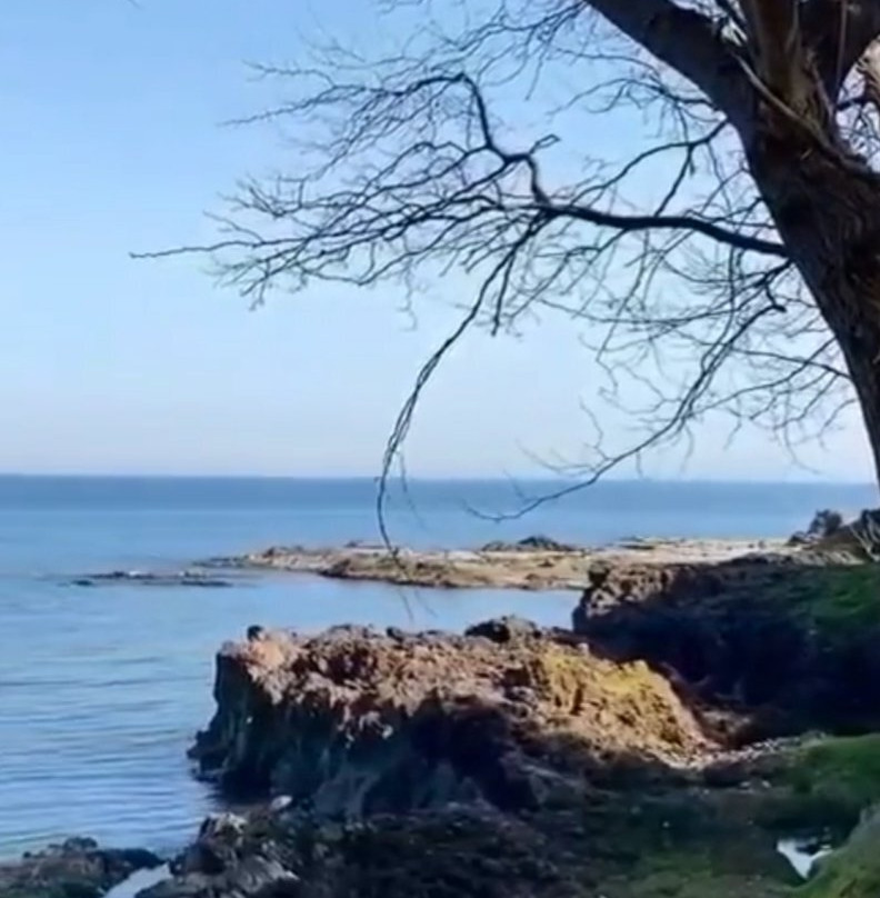 Uniport AVM景点图片