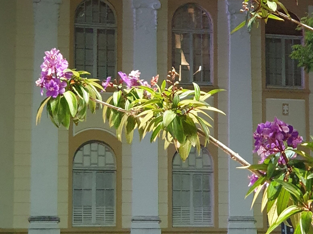 Museu Histórico de Itajaí-Itajai必去景点