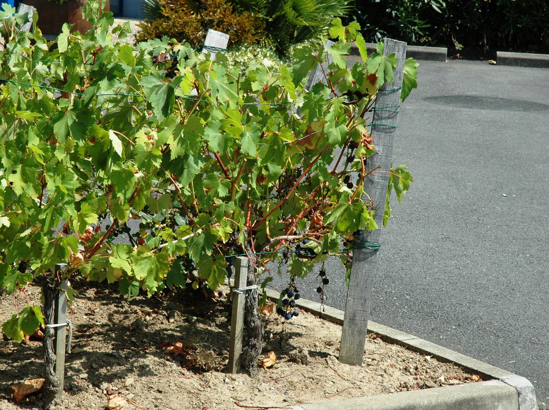 ibis budget Libourne主图