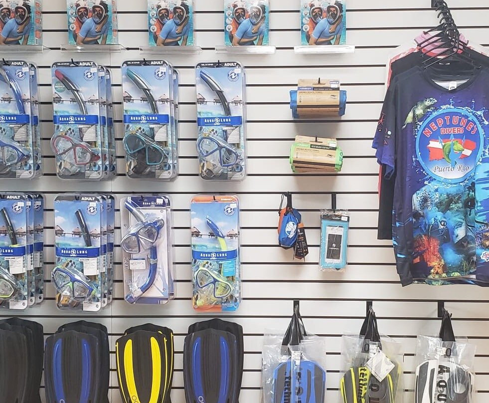 Neptunes Divers PR-Manati必去景点