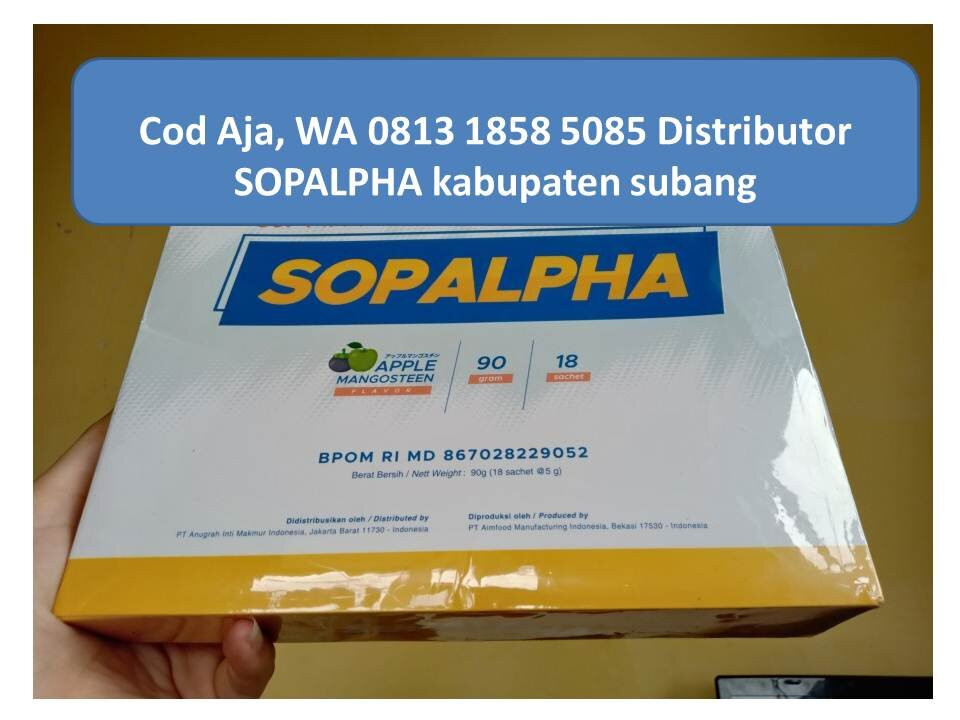 Hotel Betha Subang主图