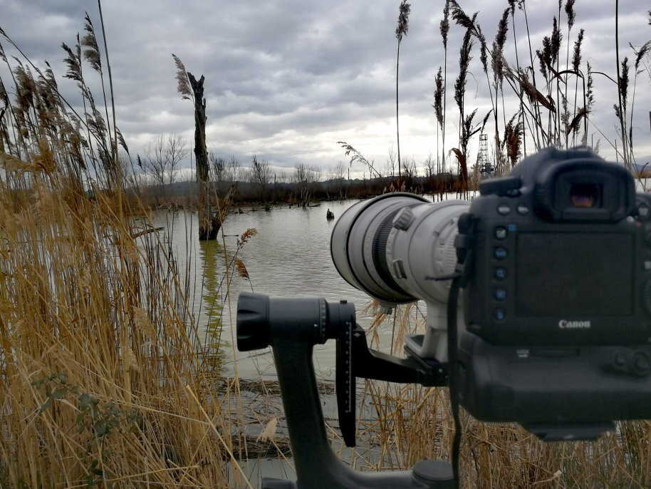 Riserva Naturale Lago di Montepulciano景点图片