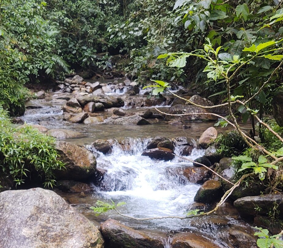 Salto del Angel-恩维加多必去景点