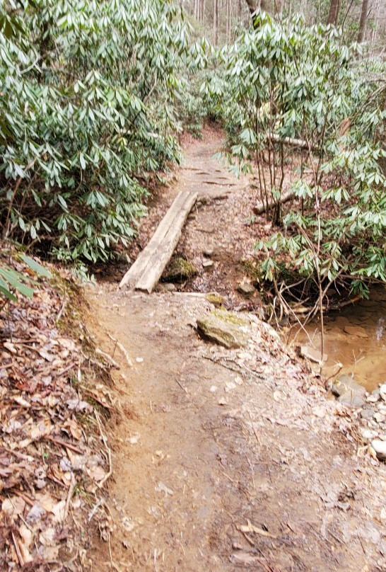 Raven Cliff Falls-海伦必去景点