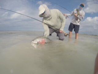 Long Island Bonefishing Lodge-Deadman's Cay必去景点