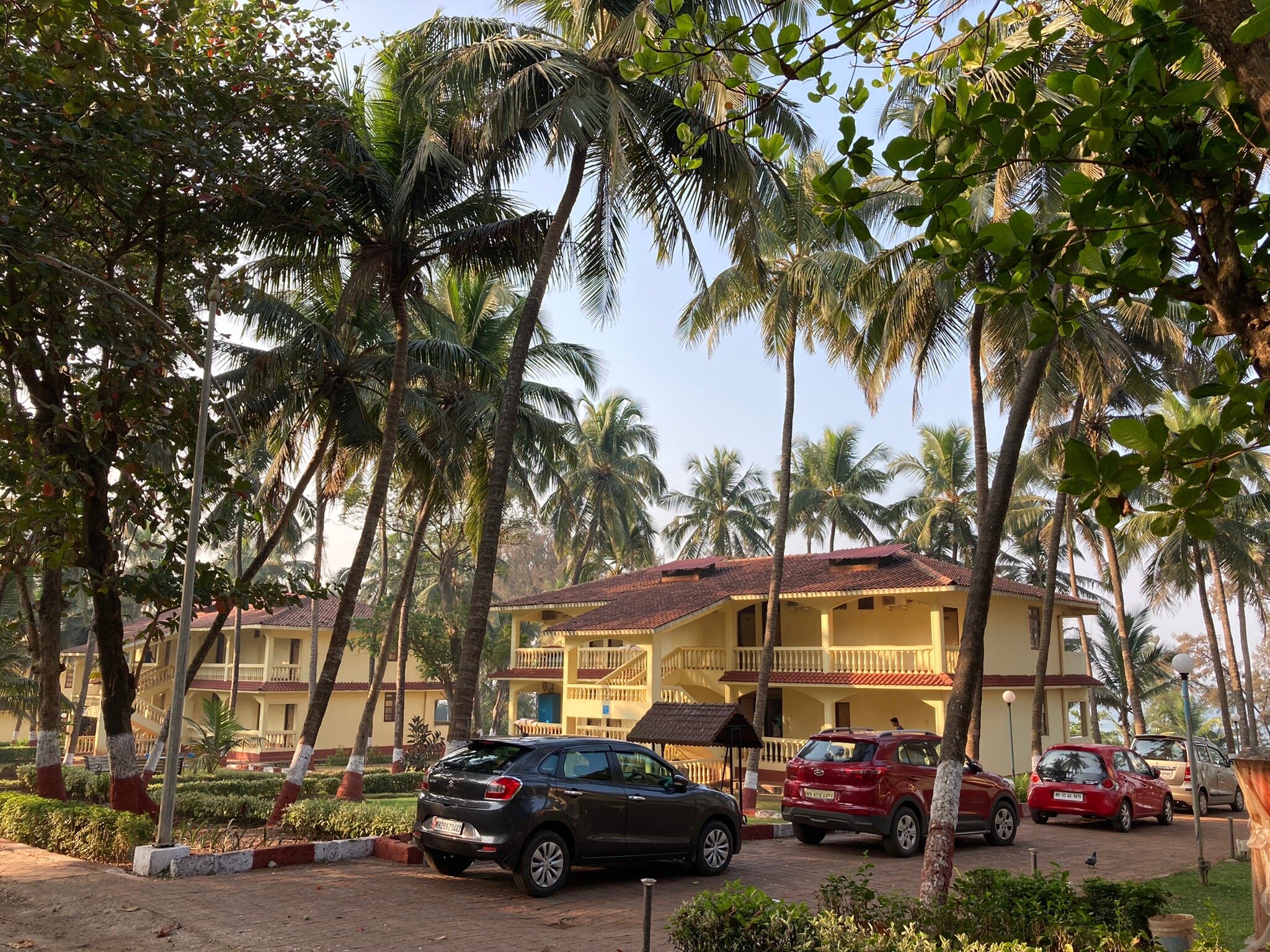 The MTDC Resort-官方