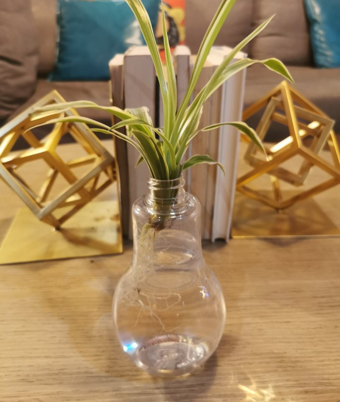 厦门首府世茂智选酒店(宝龙一城店）主图