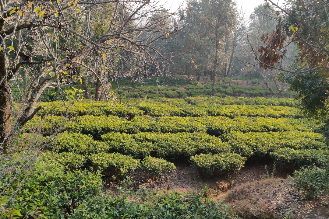 切福隆山脉别墅主图
