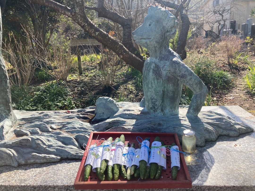 Kappa no Tera Seisoku-ji Temple景点图片