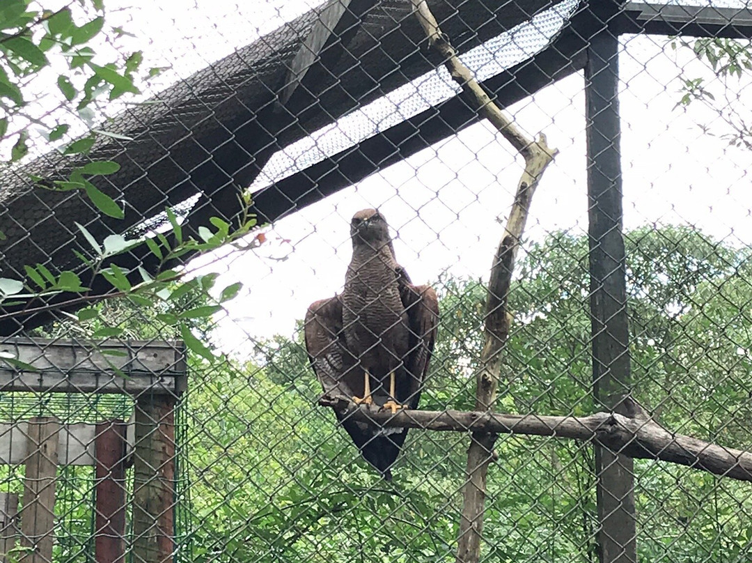 Bicho Mania-Cotia必去景点