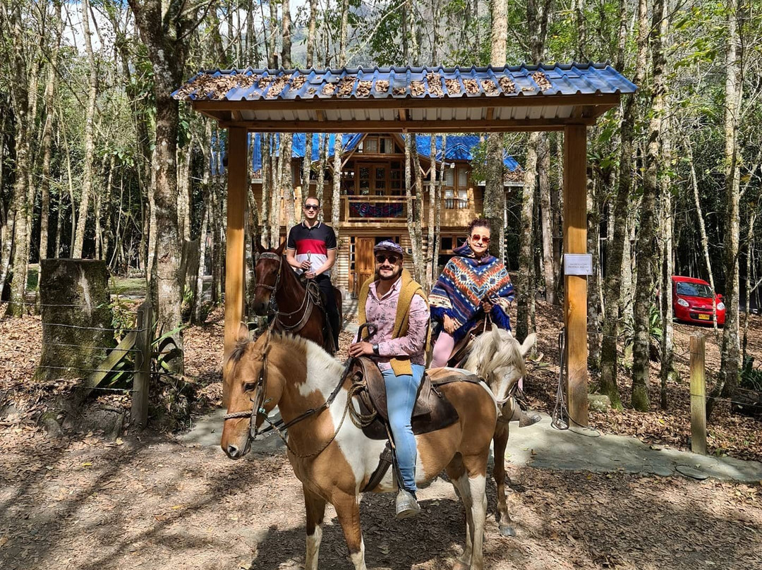 Urapanes Del Bosque主图