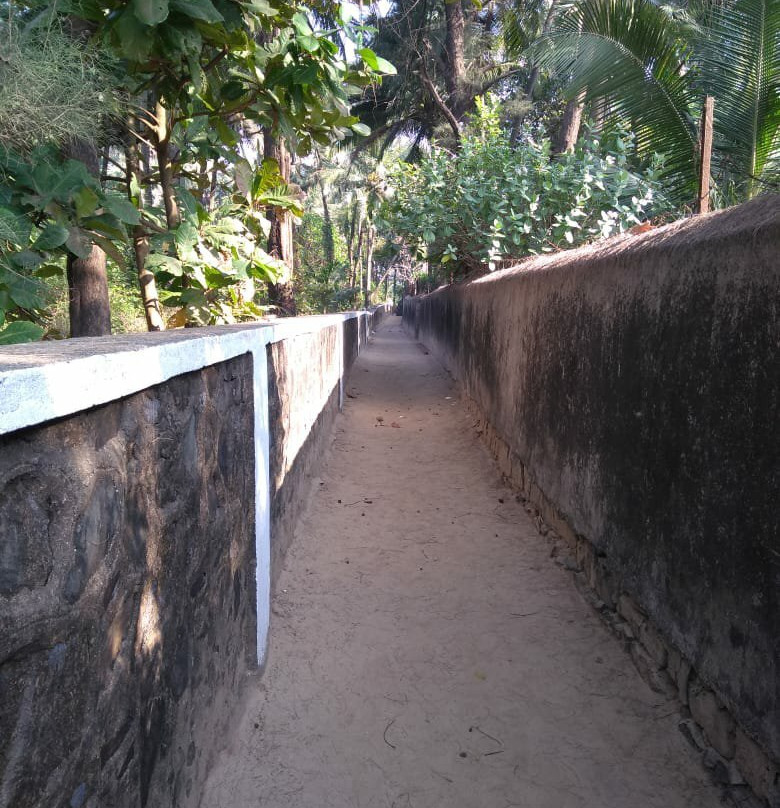 Domonica Holiday Homes主图