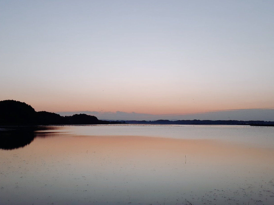 Izunuma and Uchinuma Swamp-栗原市必去景点