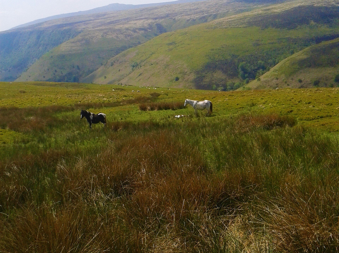 Grange Trekking Centre Guest House主图