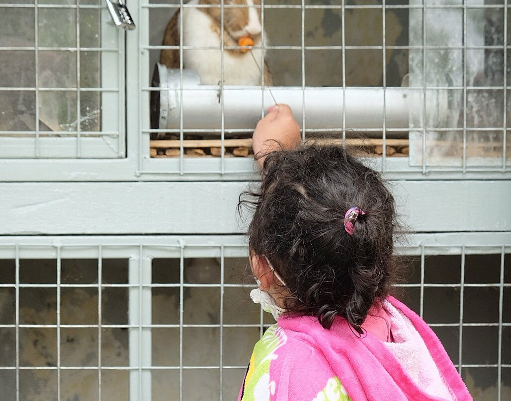 梅森青松酒店主图
