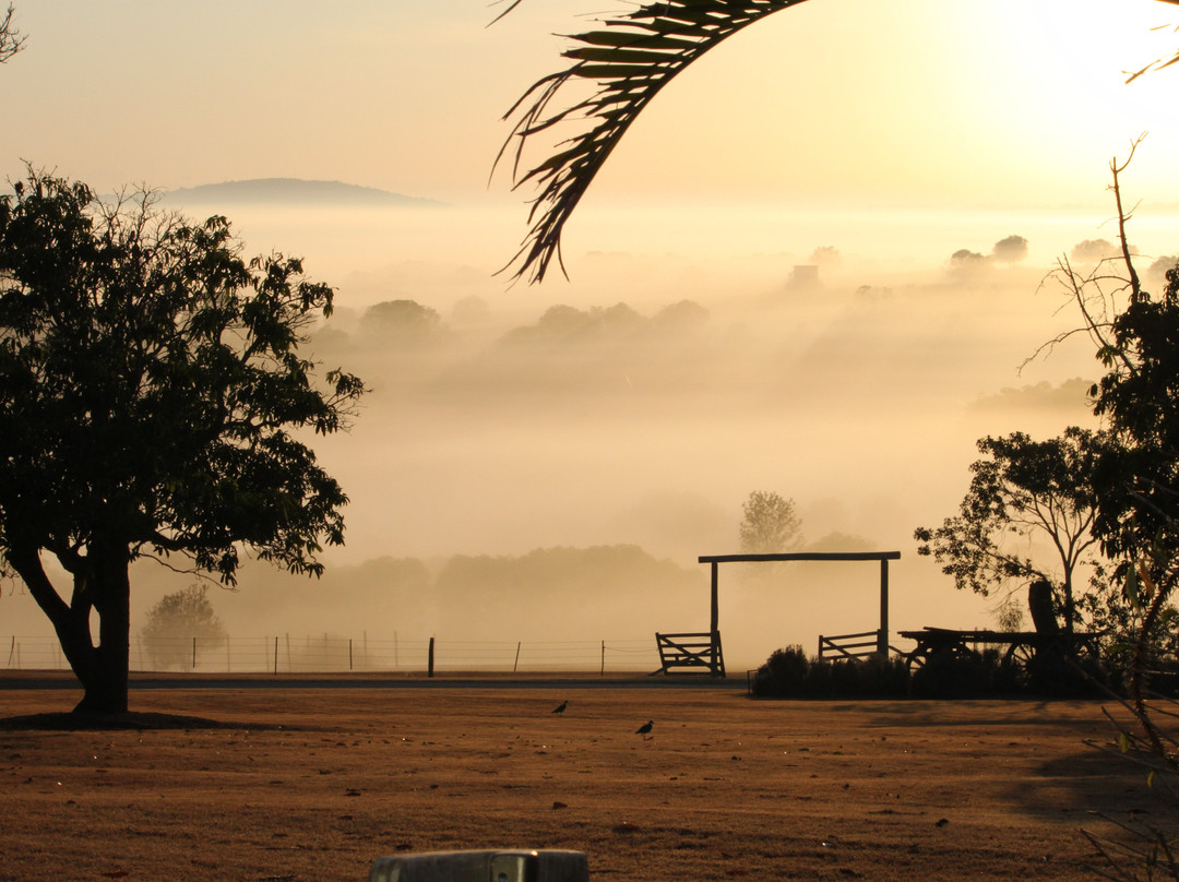 Woodlands of Marburg主图