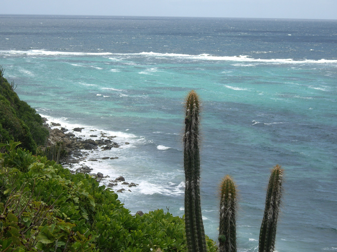 Desi-Rando-La Desirade必去景点