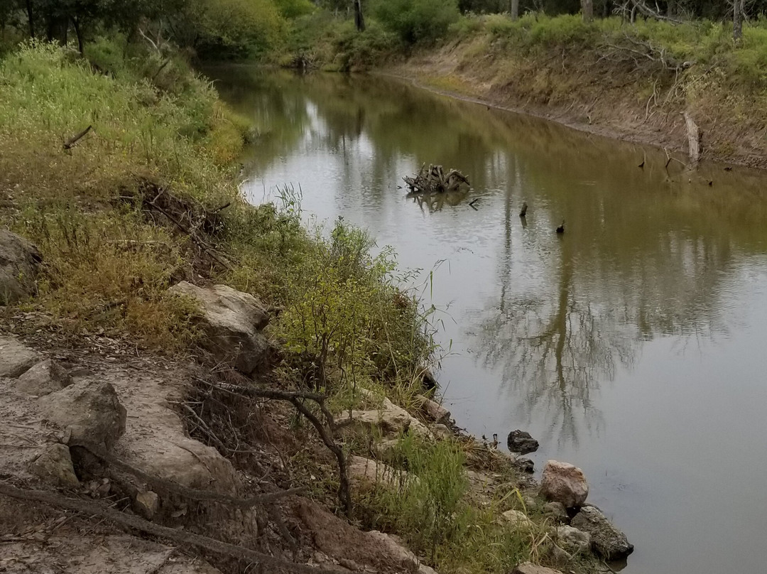 2023年11月Lake Somerville State Park Nails Creek Unit景点攻略Lake