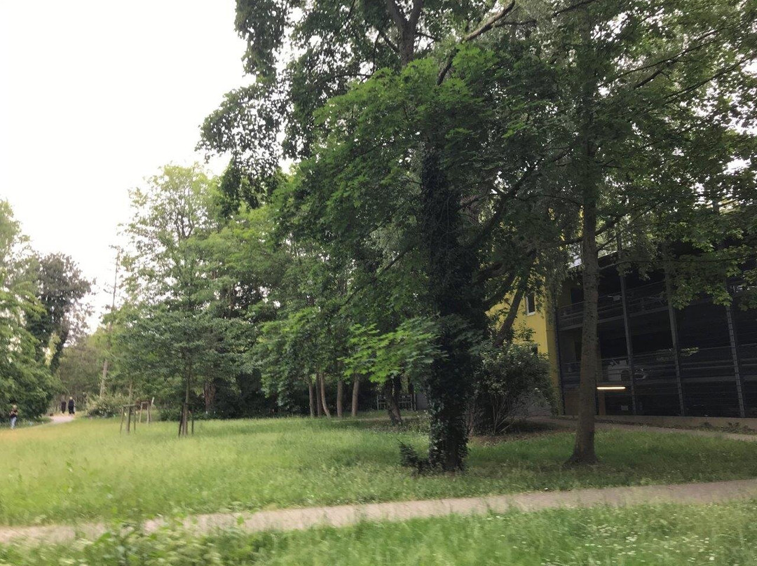 Stephan-Jantzen-Park景点图片