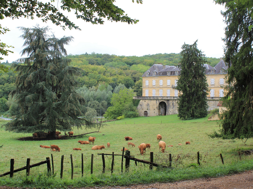 Chateau du Roc景点图片
