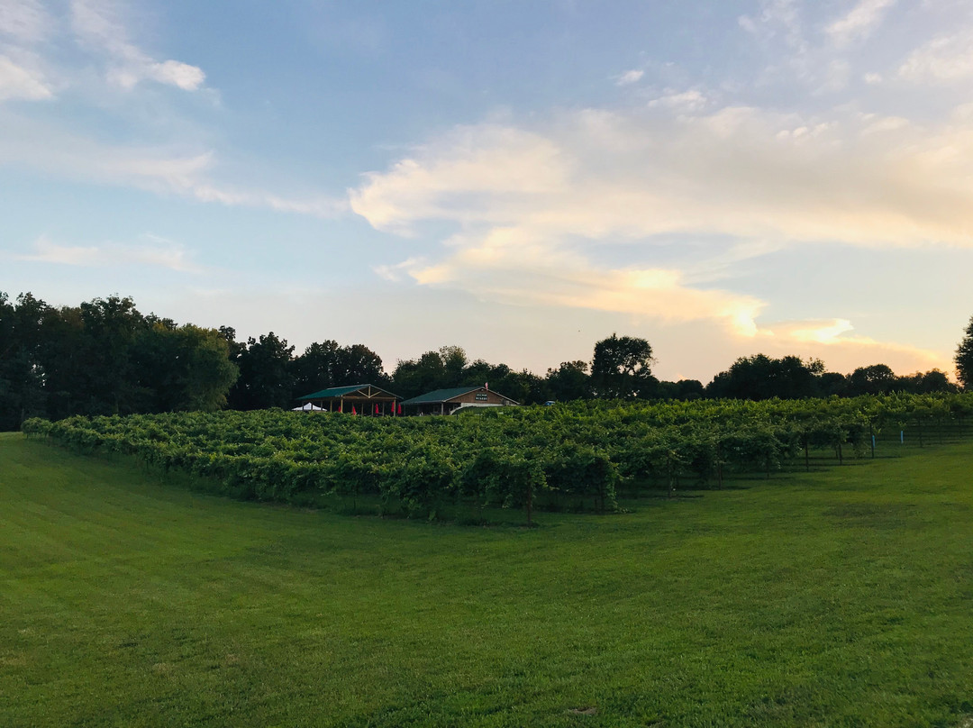 Dale Hollow Winery景点图片