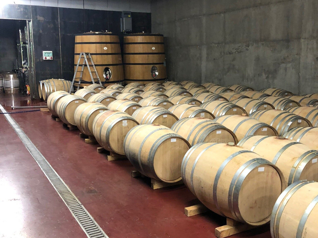 Bodega Castell d'Encus景点图片