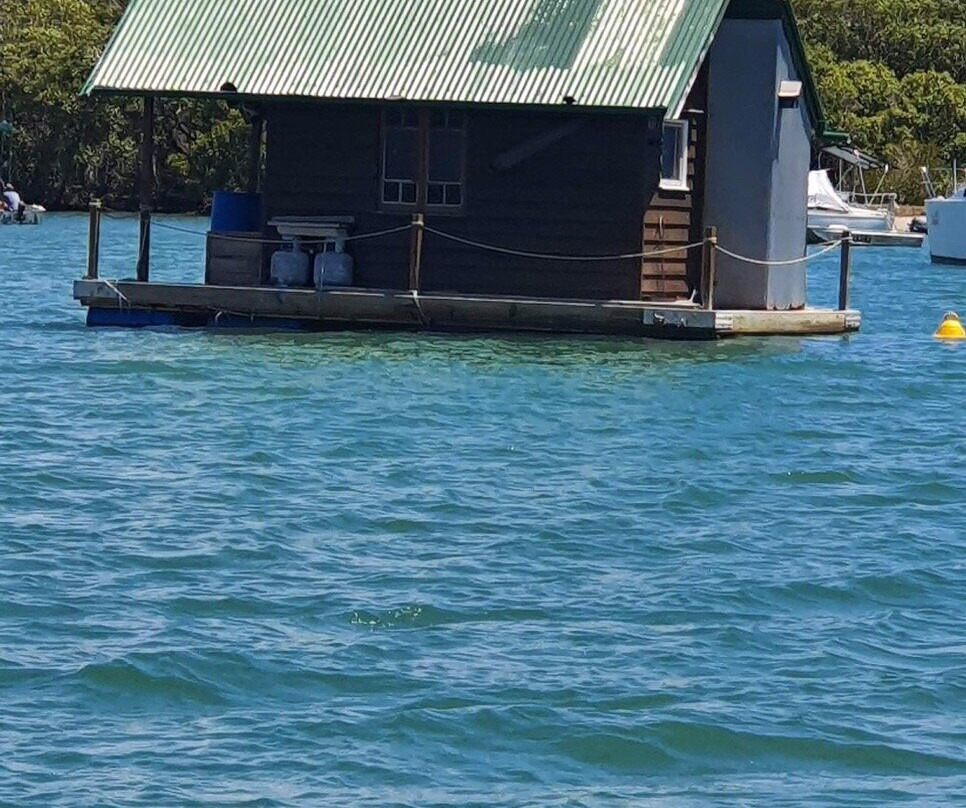 Noosa River景点图片