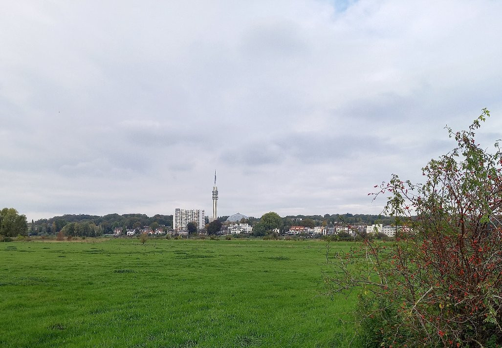 Stadsblokken Meinerswijk景点图片