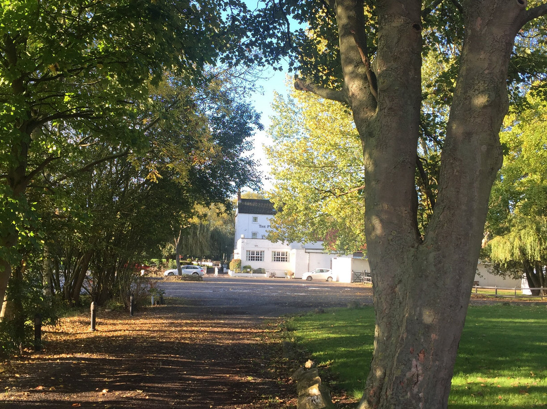 The Pyewipe Inn主图