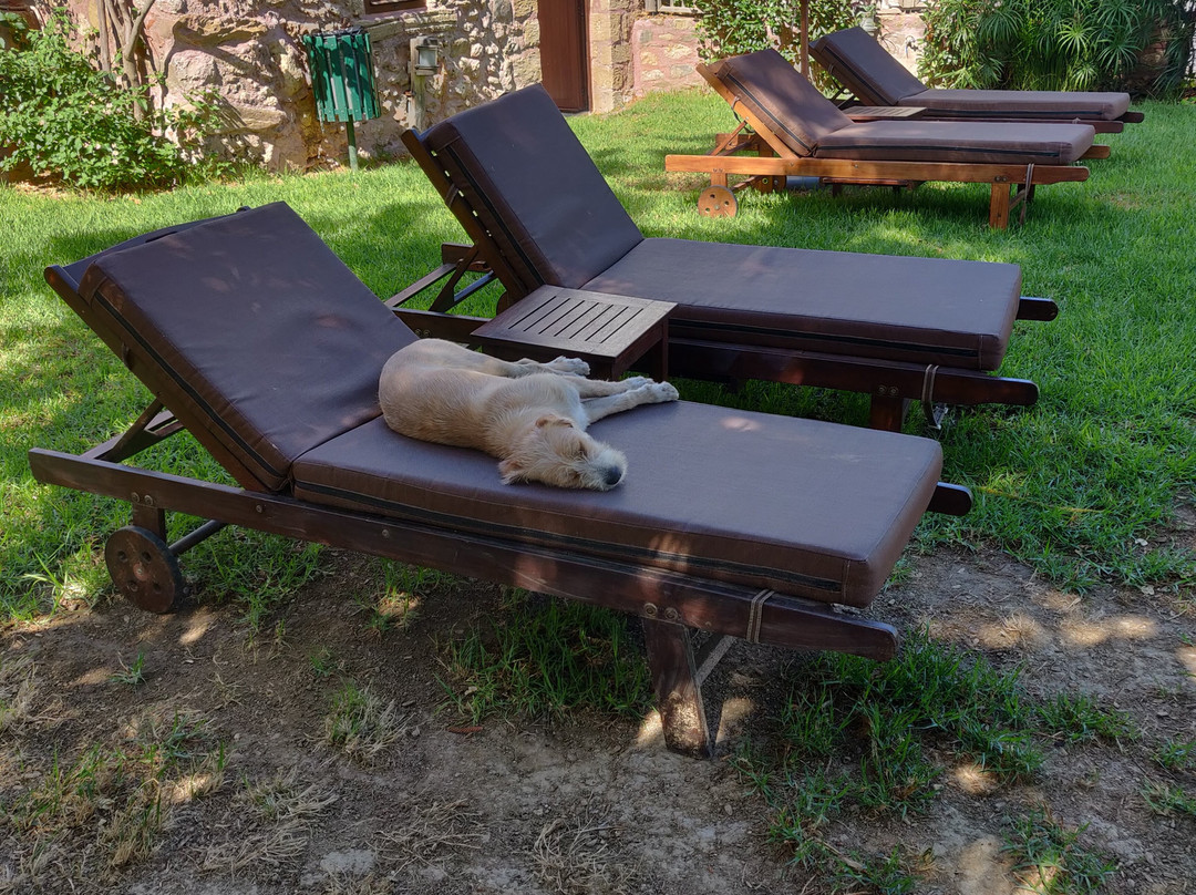 Spilia Village Hotel主图