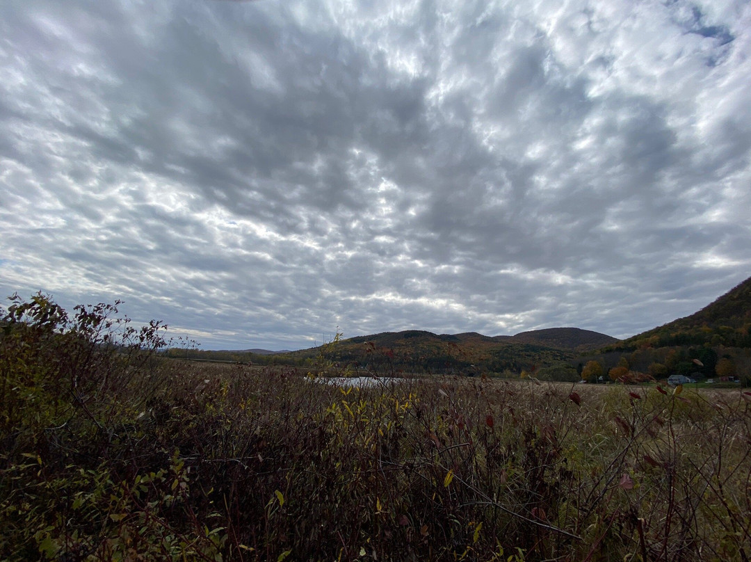 West Rutland Marsh景点图片