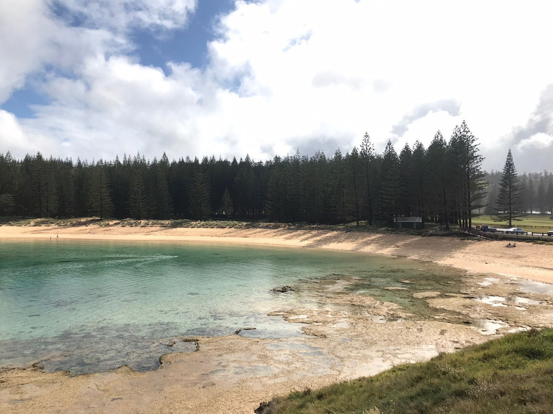 Pinetree Tours-诺福克岛必去景点