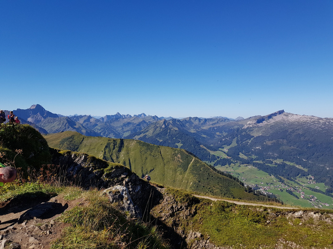 Fellhorn / Kanzelwandbahn景点图片
