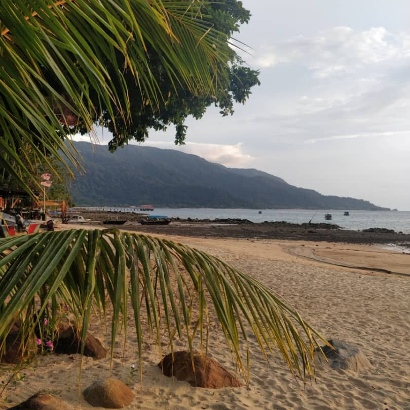 Bamboo Hill Chalets主图