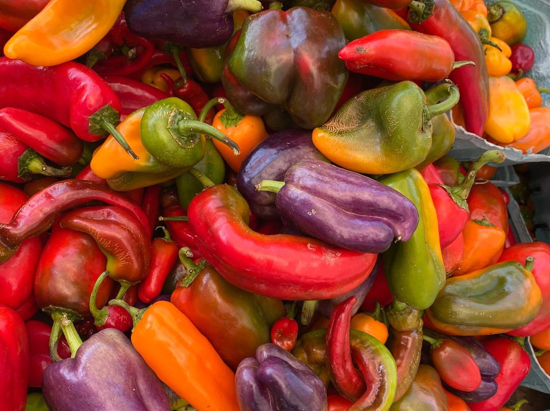 Westport Farmers Market-Westport必去景点