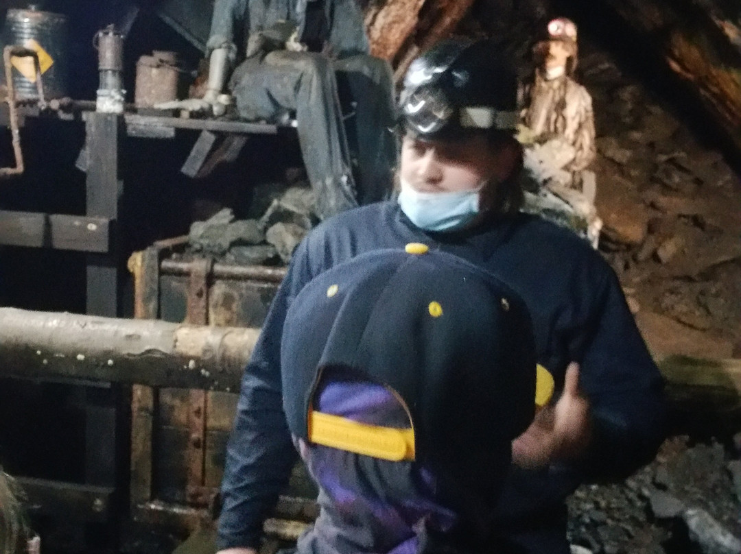 Pioneer Tunnel Coal Mine & Steam Train景点图片