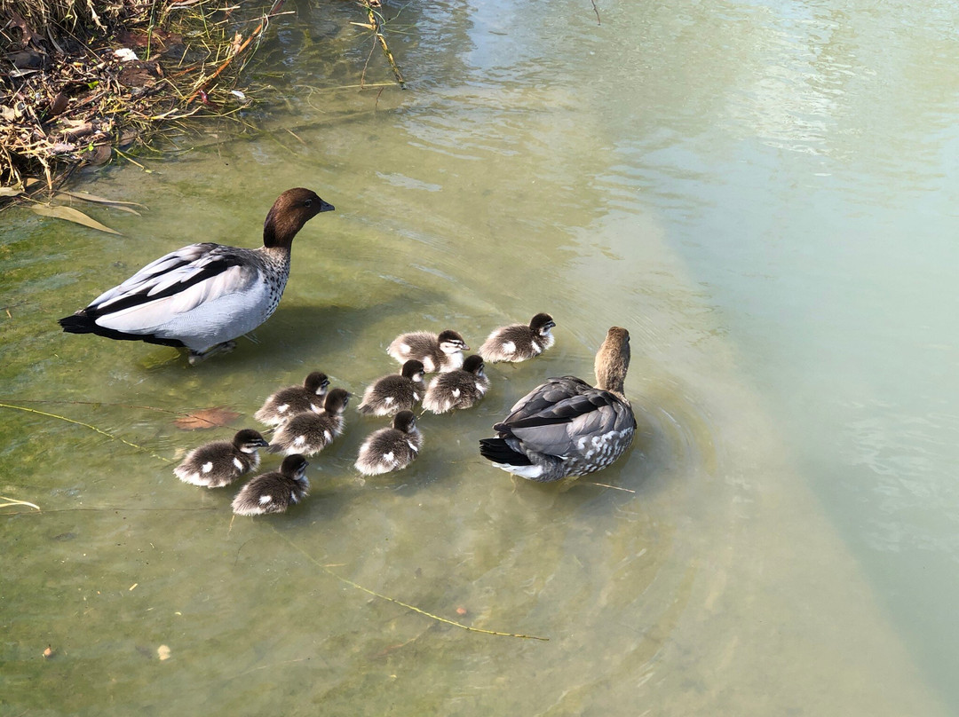 茶馆汽车旅馆主图