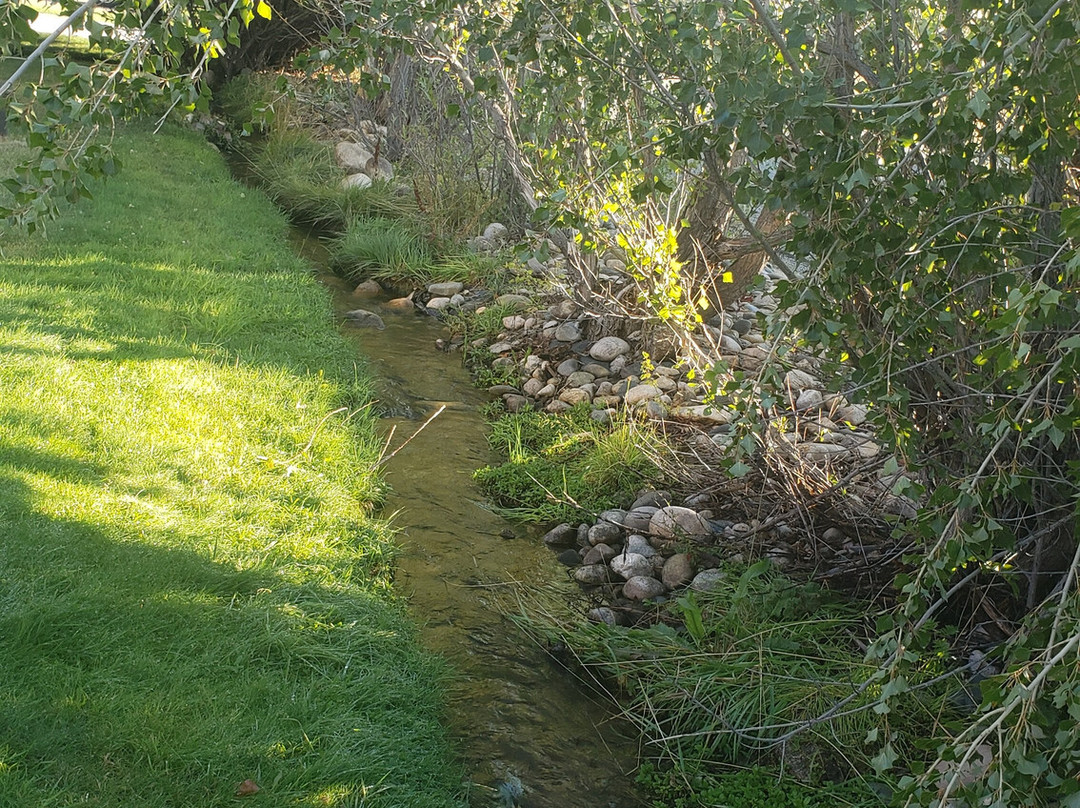 Aspen Townhomes主图