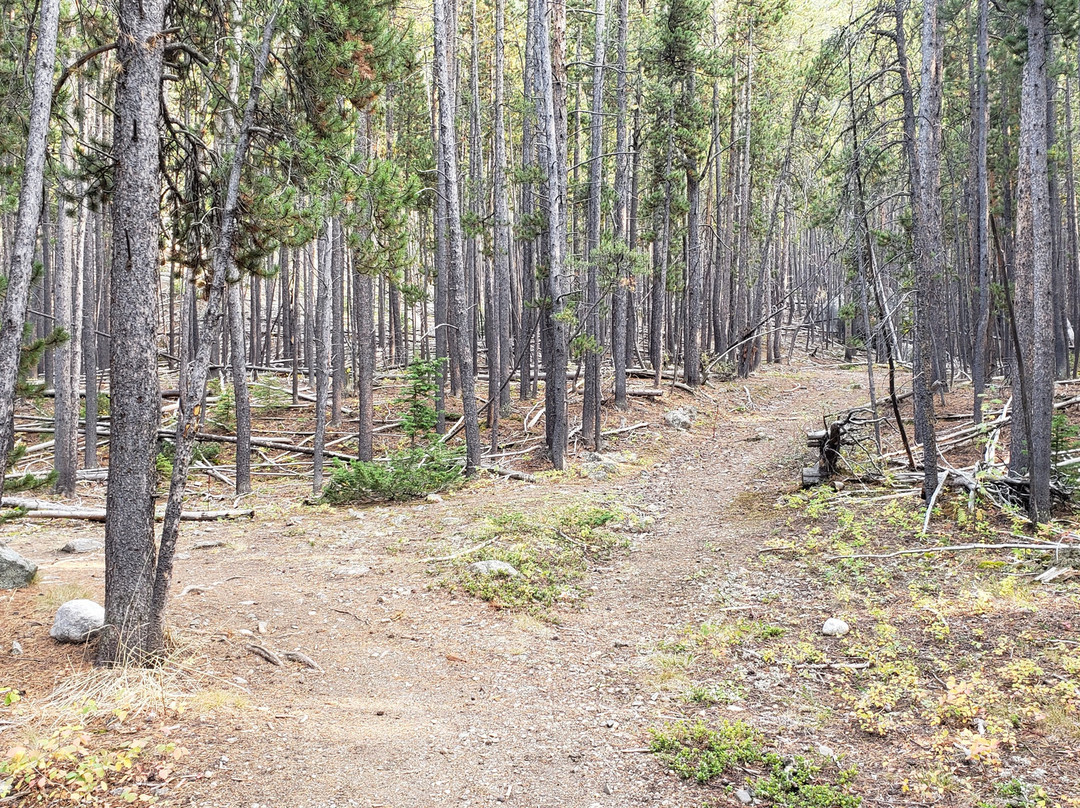 Silver Run Trails-雷德洛治必去景点