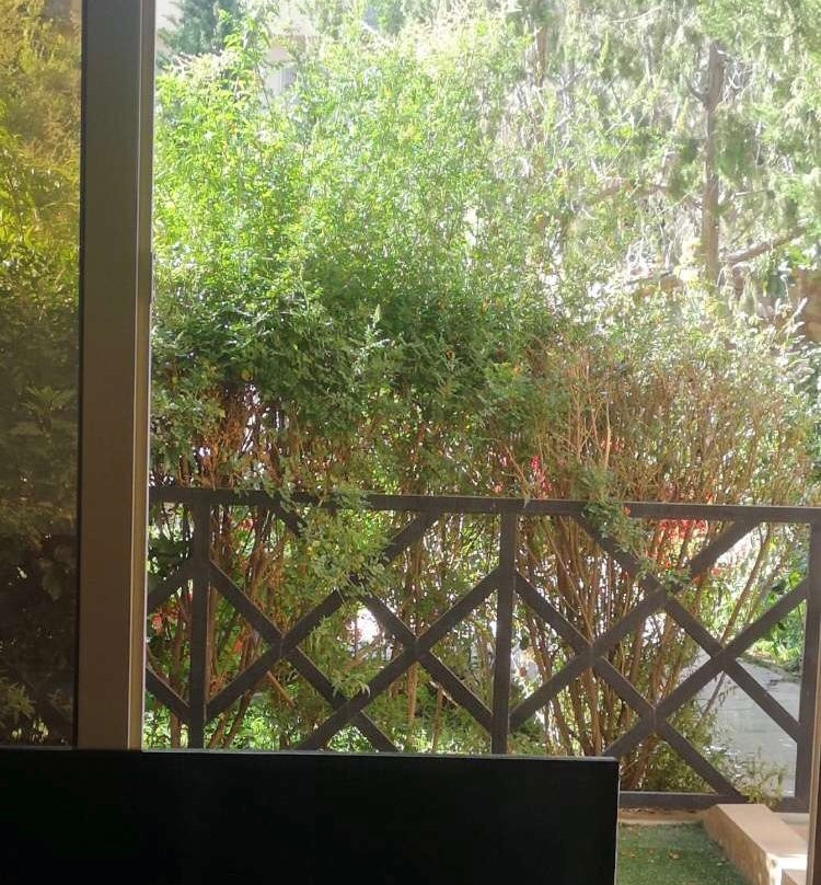 Al Wadi Touristic Resort主图