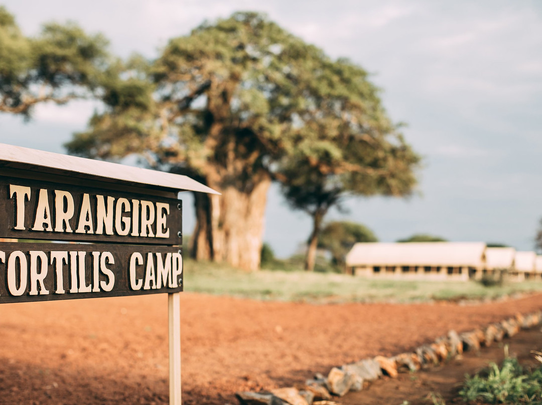 Tarangire Tortilis Camp