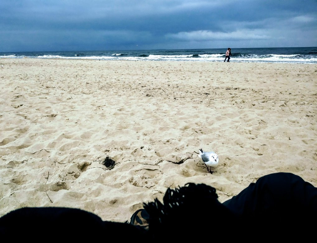 Trassenheider Strand景点图片